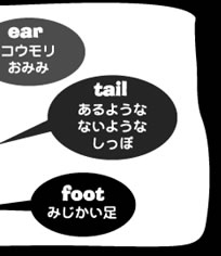 コウモリおみみ　あるようなないようなしっぽ　みじかい足