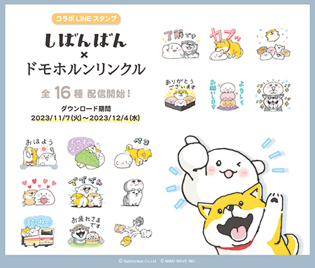 shibanban_domohorn_wrinkle
