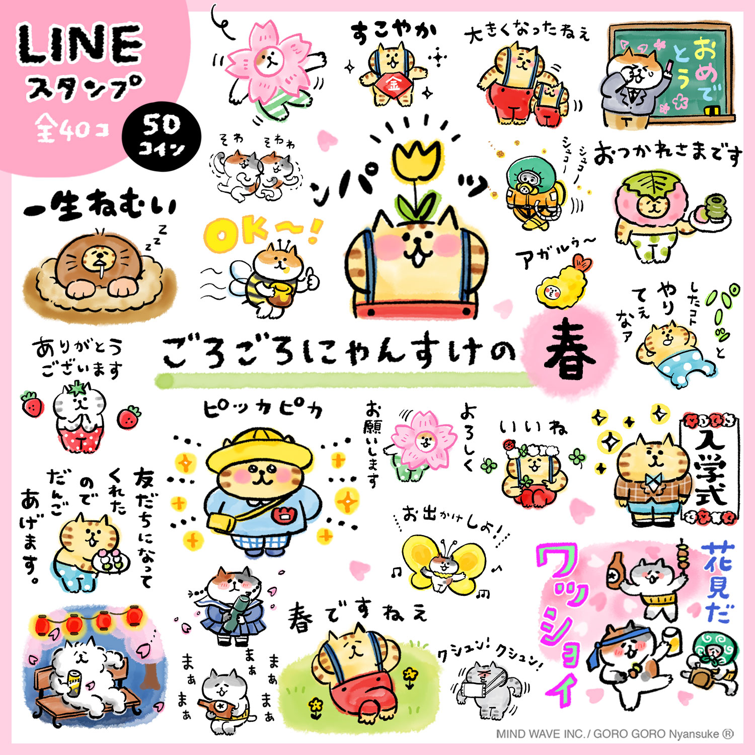 ぴ太郎様　ご予約済　他の方は購入しないでください タイ様専用ページ 他の方の購入はご遠慮下さい 【公式通販】