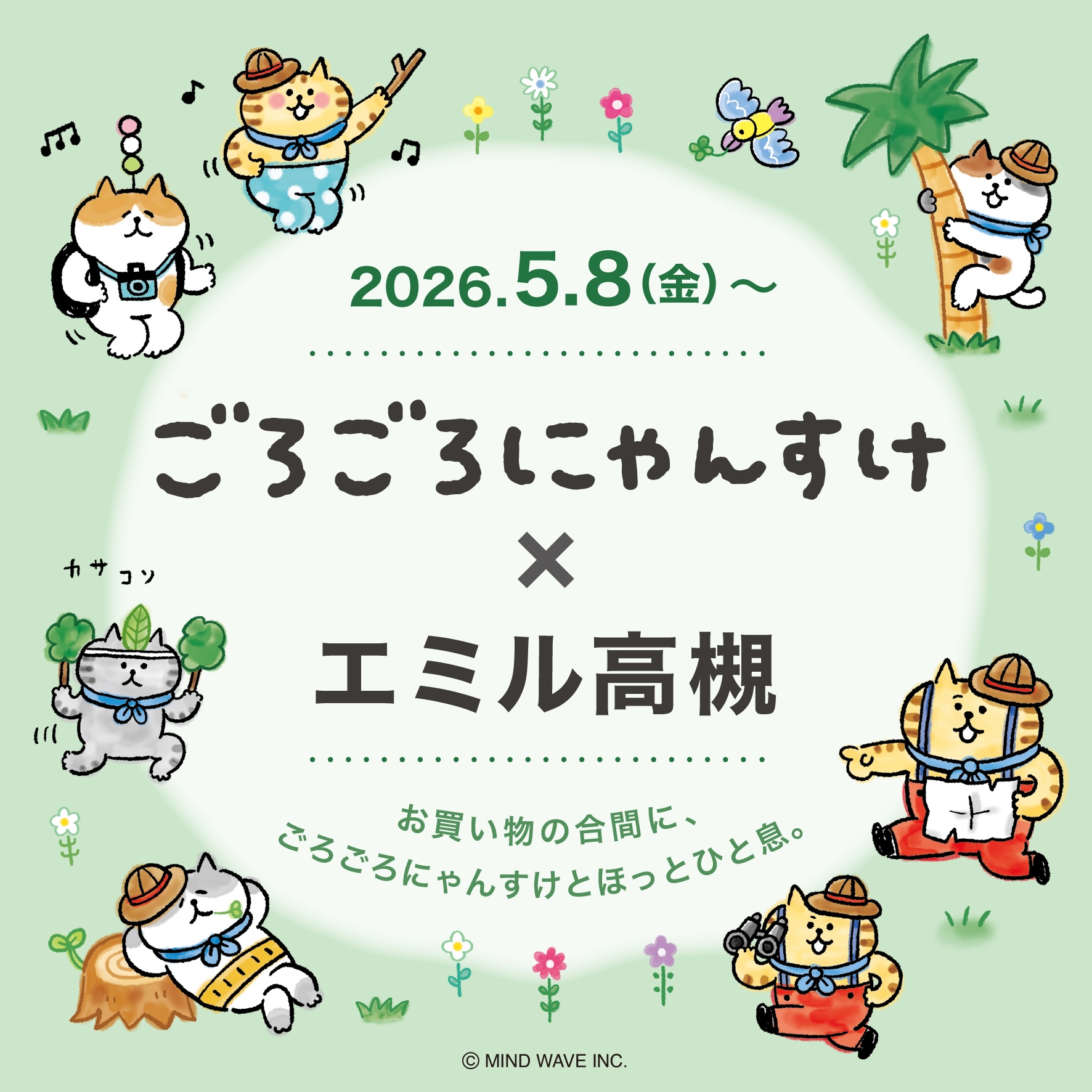 🎪EVENT🎪ごろごろにゃんすけ×エミル高槻 開催! - 株式会社マインド